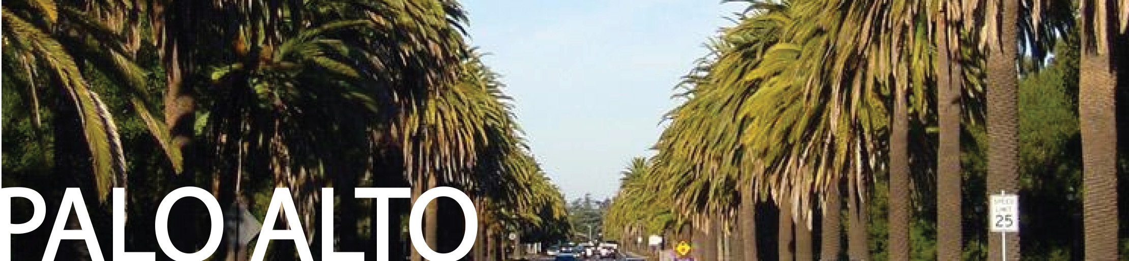 Palo Alto overlay